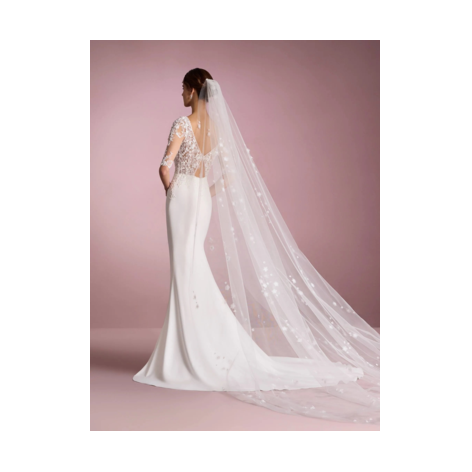 White One Arida