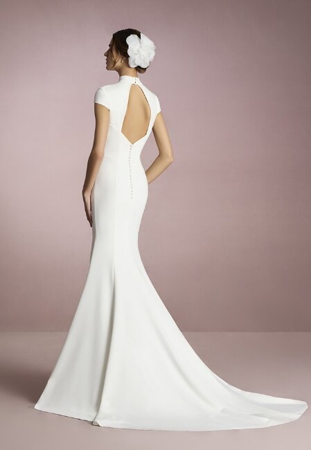 White One Tsubaki White One Tsubaki